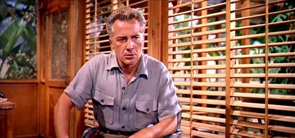 南太平洋の画像