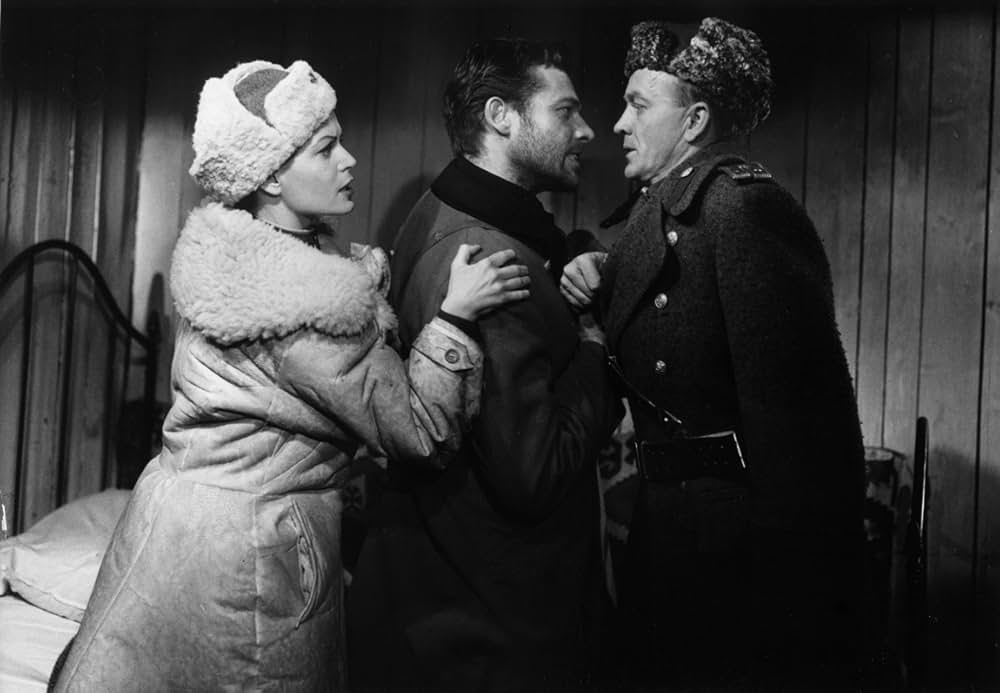 スターリングラードからの医者の画像