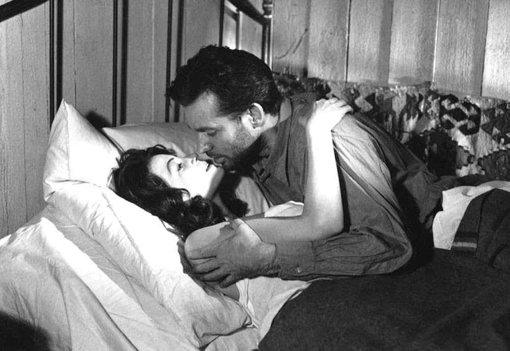 スターリングラードからの医者の画像