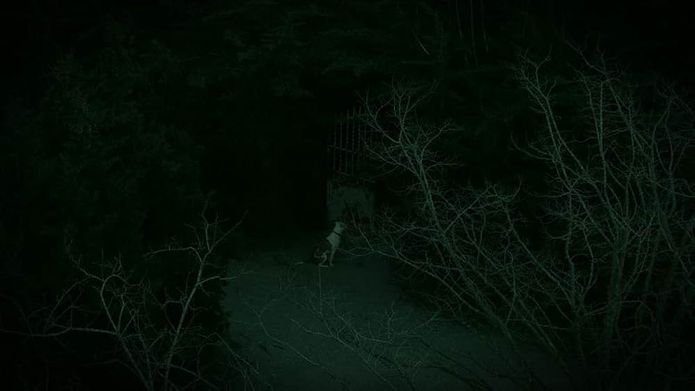 レコード 〜シッチェス別荘殺人事件〜の画像