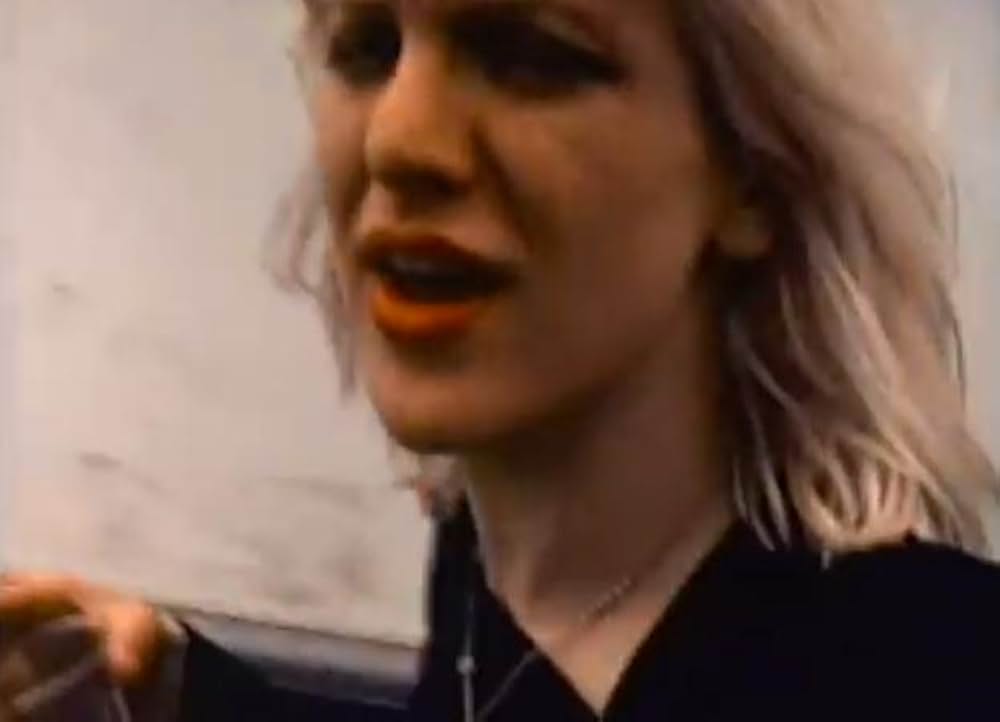 1991: The Year Punk Broke（原題）の画像