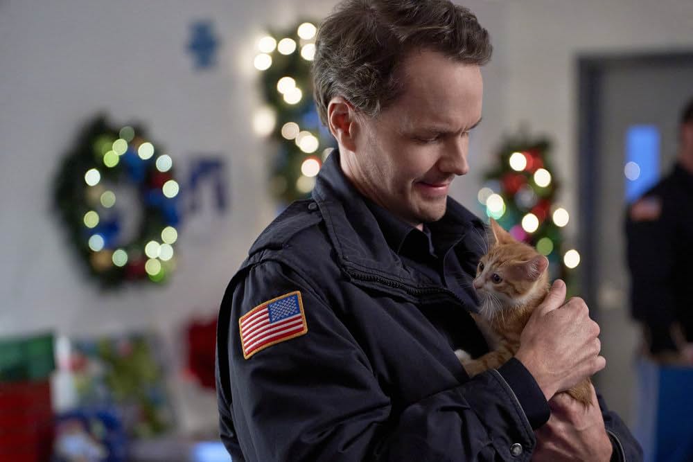 ネコと元カレとロマンスの画像