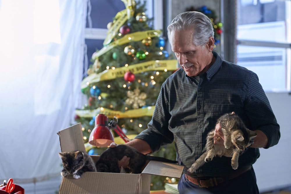 ネコと元カレとロマンスの画像