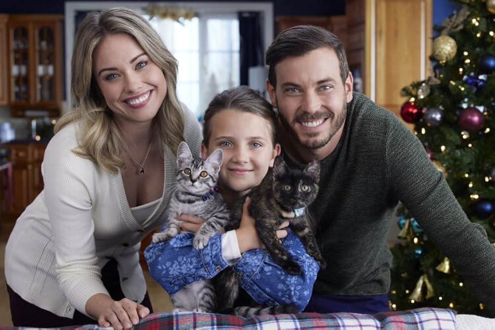 ネコと元カレとロマンスの画像