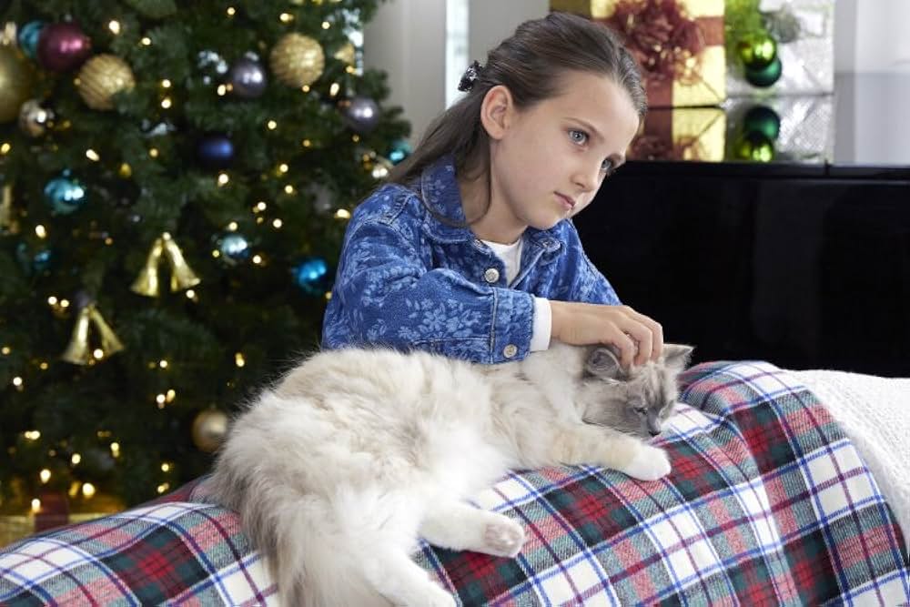 ネコと元カレとロマンスの画像