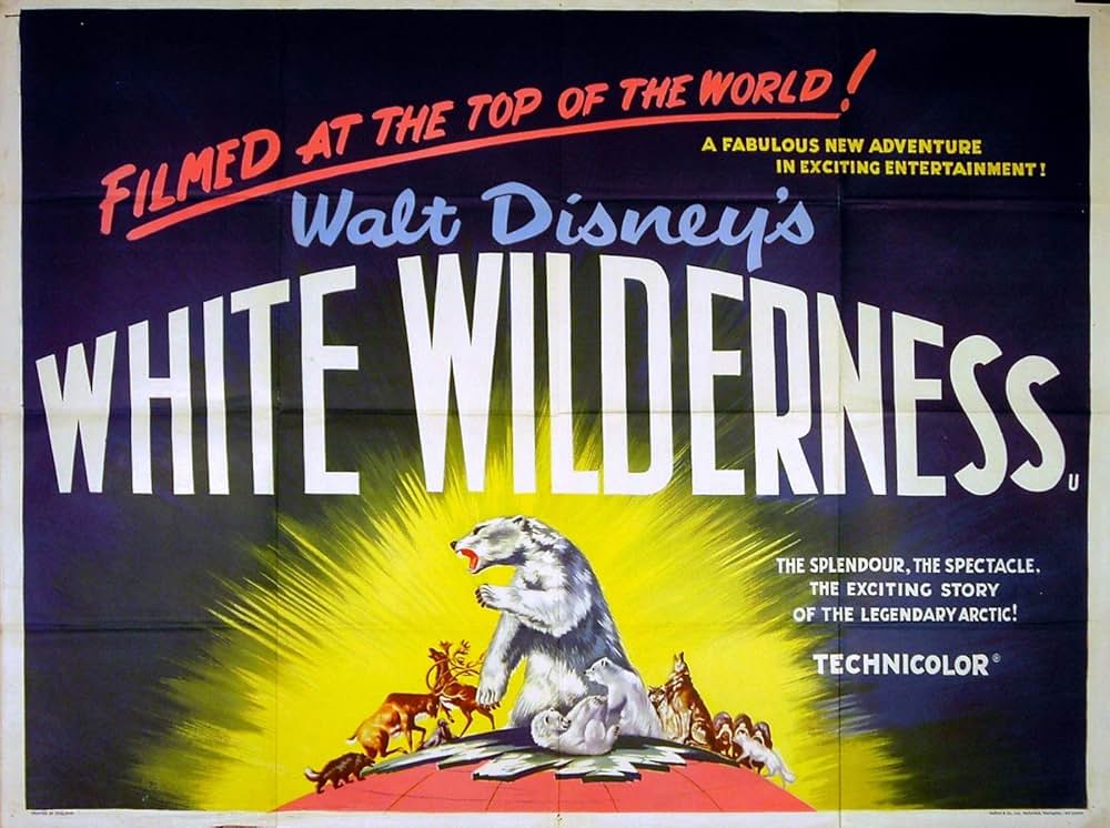 白い荒野の画像