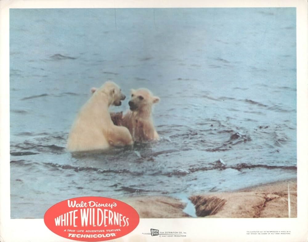 白い荒野の画像