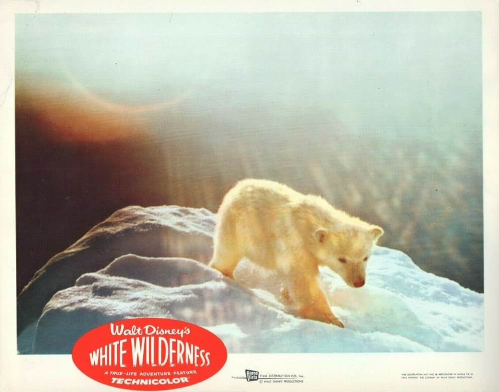 白い荒野の画像