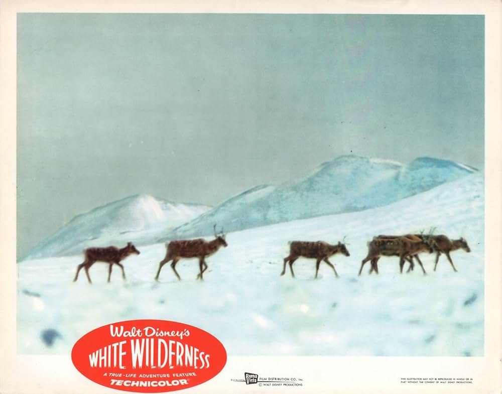 白い荒野の画像