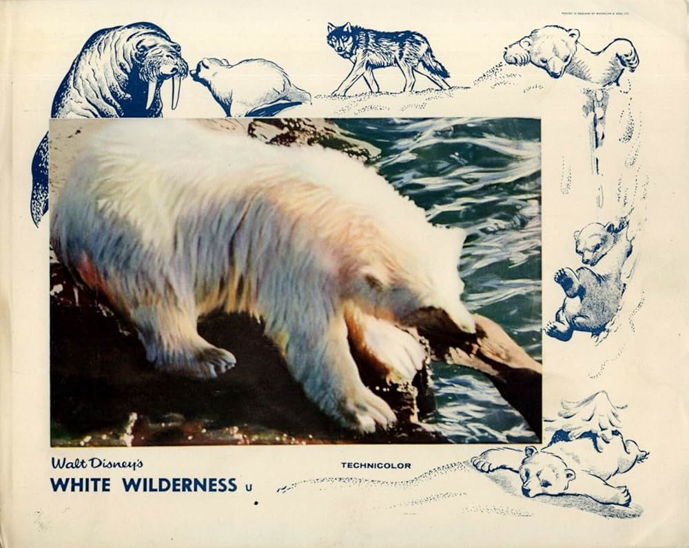 白い荒野の画像