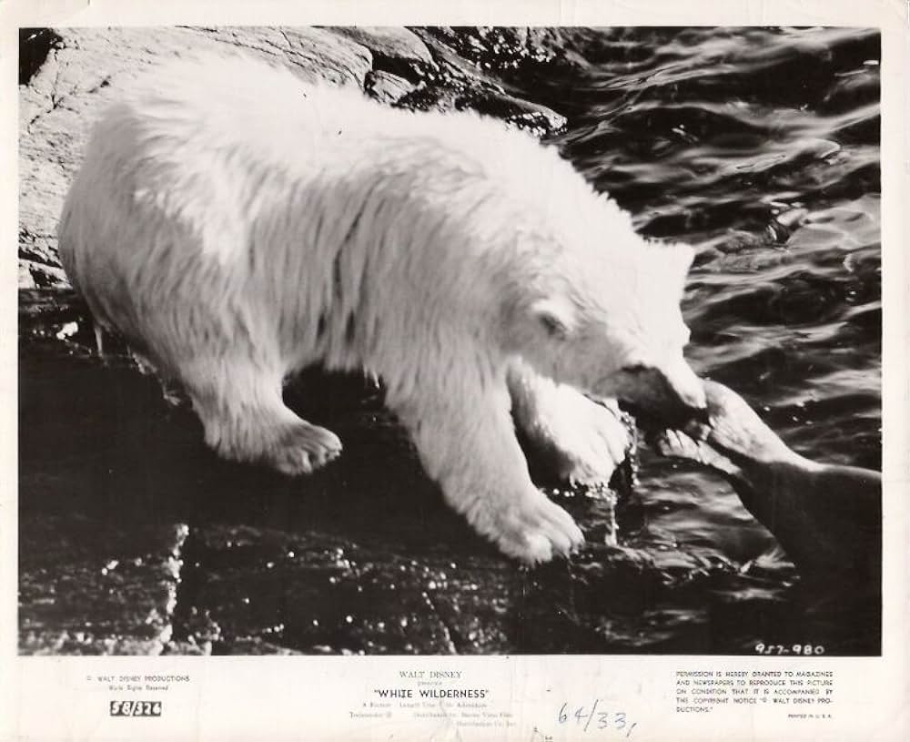 白い荒野の画像