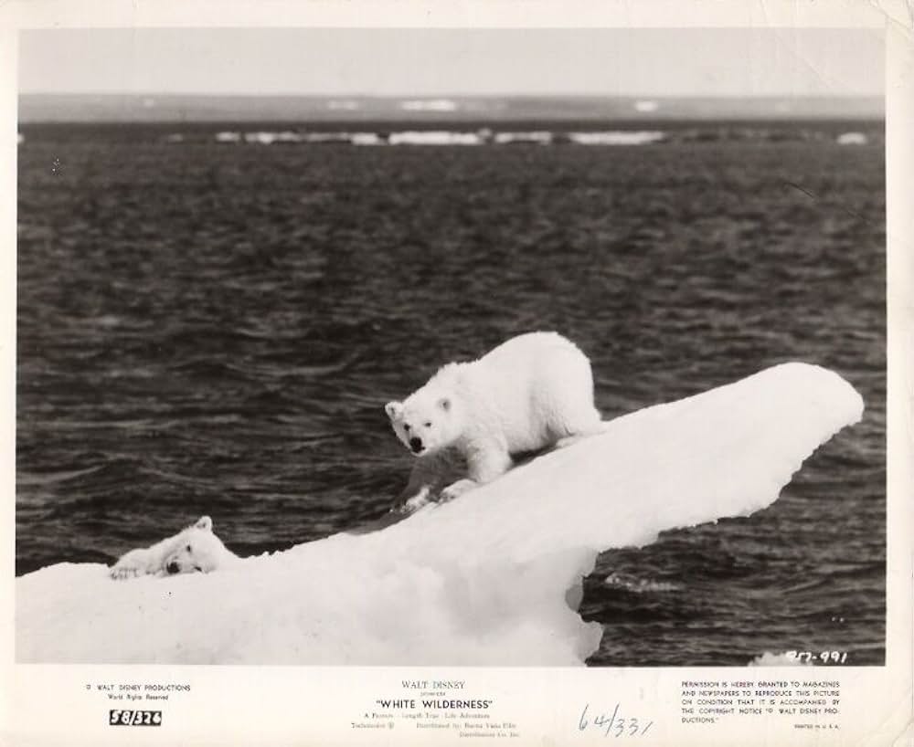 白い荒野の画像