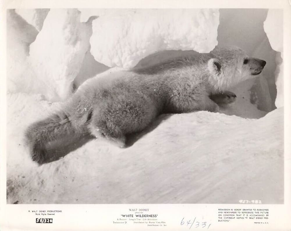 白い荒野の画像