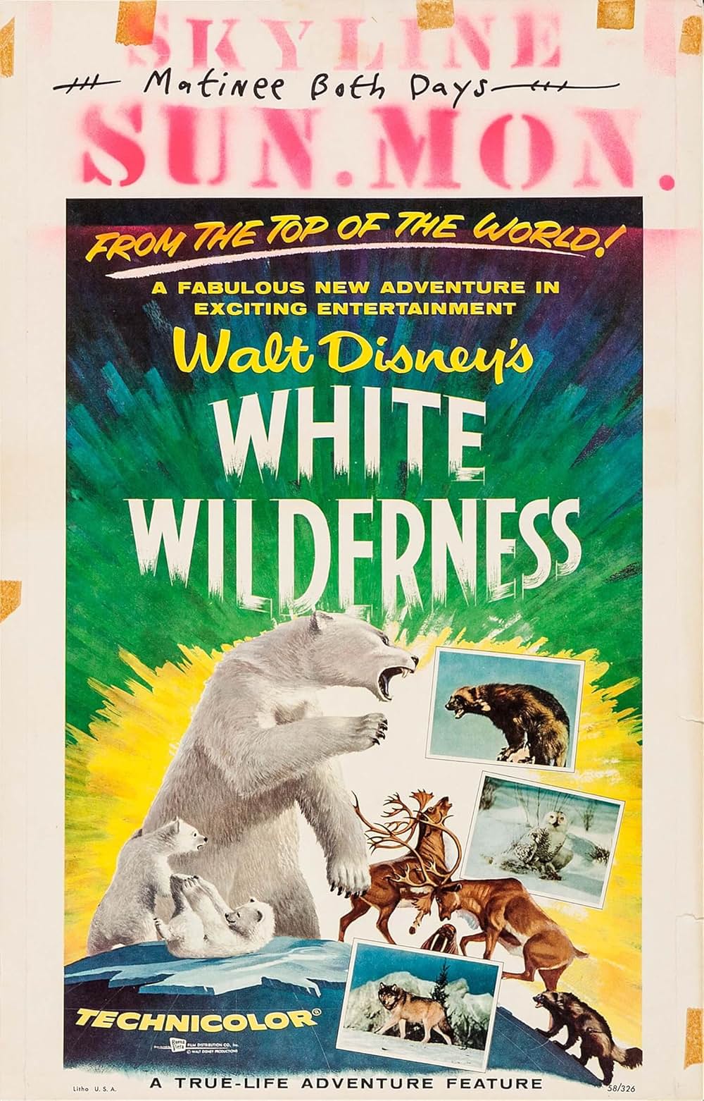 白い荒野の画像