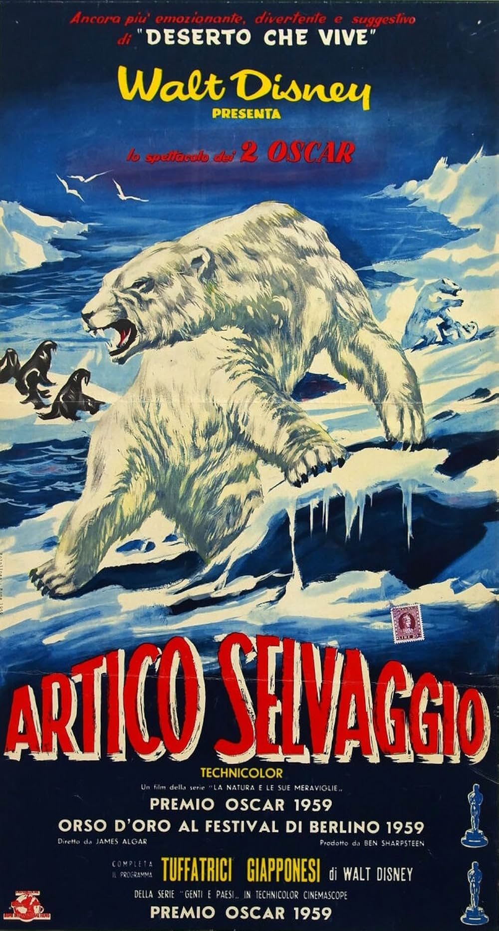 白い荒野の画像