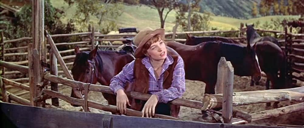 「縄張り」シャーリー・マクレーンの画像