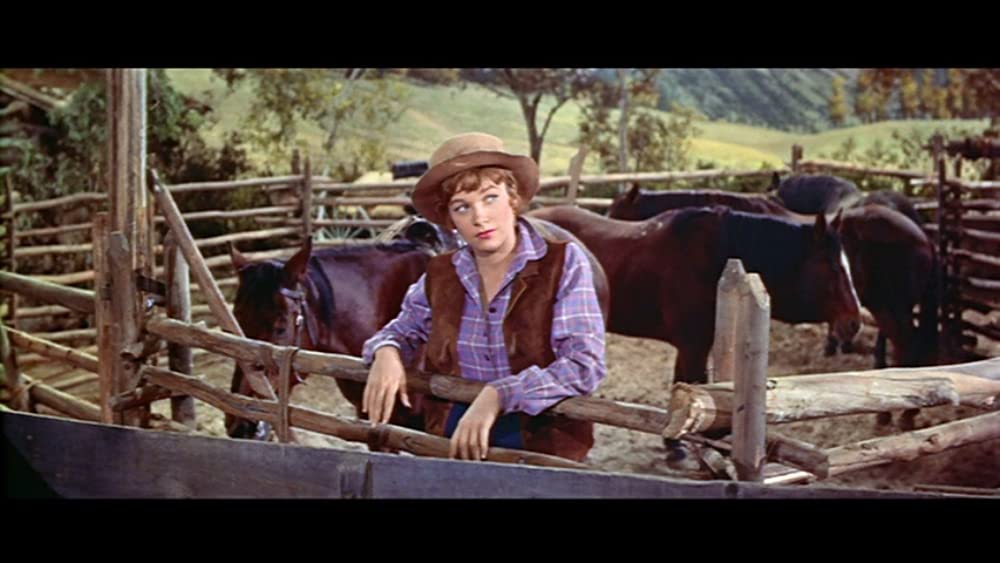 「縄張り」シャーリー・マクレーンの画像