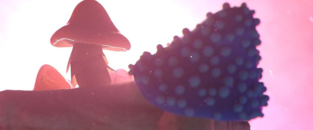 本当の居場所の画像