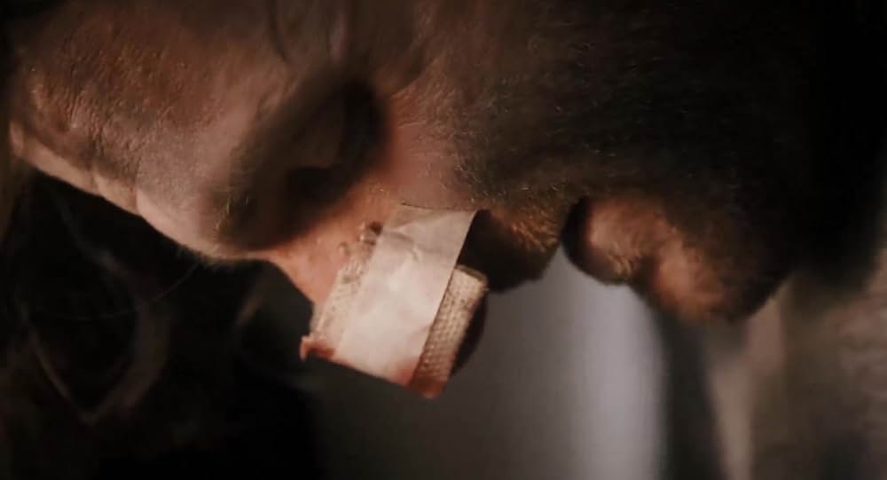 Red Krokodil（原題）の画像