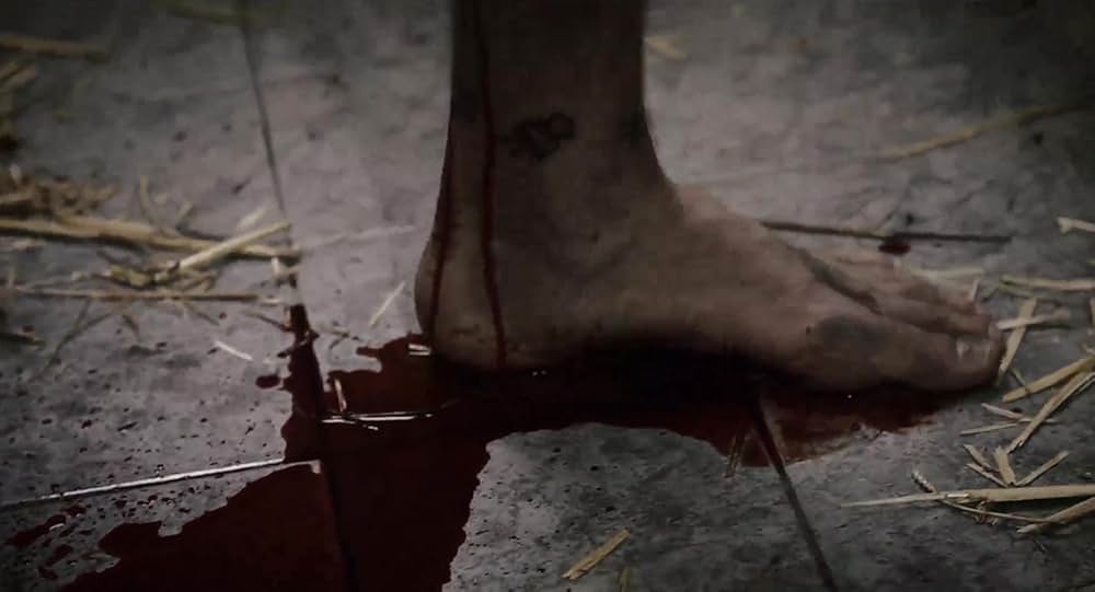 Red Krokodil（原題）の画像