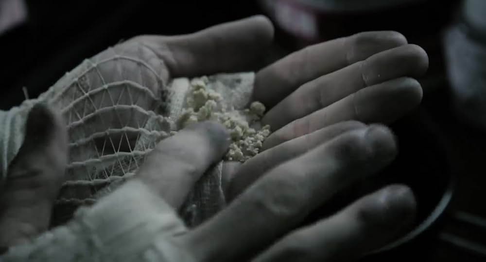 Red Krokodil（原題）の画像