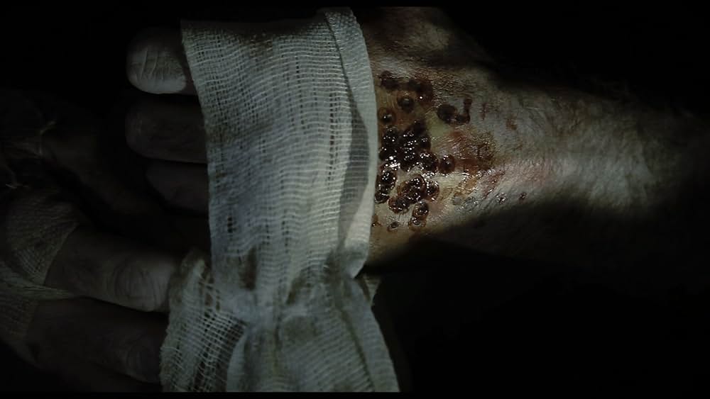 Red Krokodil（原題）の画像