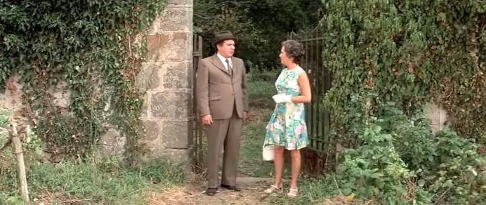 ルイ・ド・フュネスの窓際一発大逆転の画像