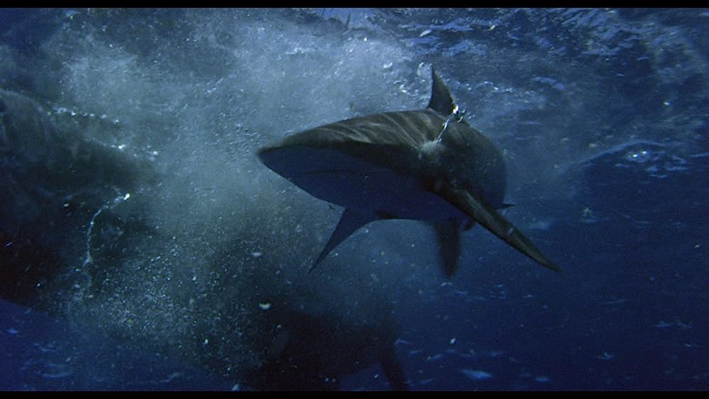 老人と海の画像