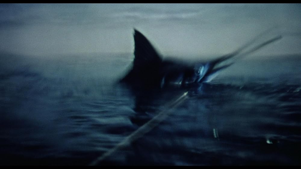 老人と海の画像