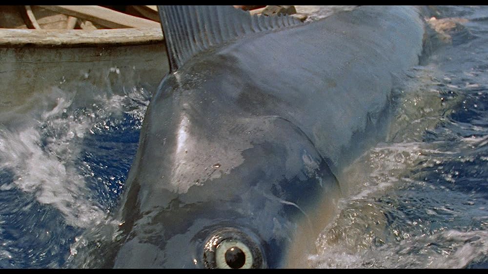 老人と海の画像