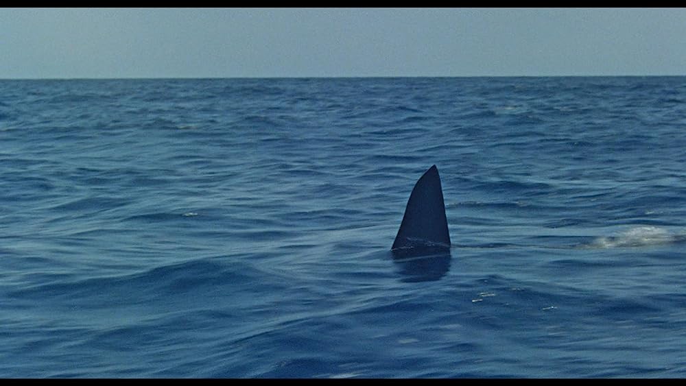 老人と海の画像