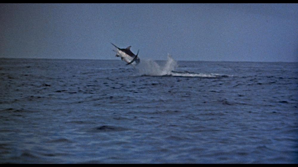 老人と海の画像