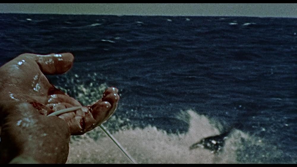 老人と海の画像