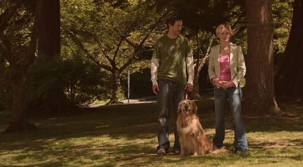 マンハッタン恋愛セラピーの画像