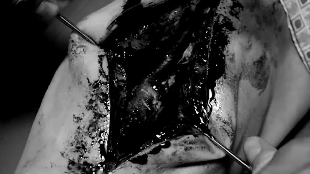 アメリカンギニーピッグ ブラッドショック！！の画像