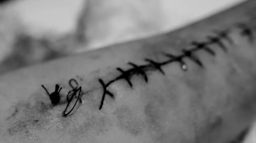 アメリカンギニーピッグ ブラッドショック！！の画像