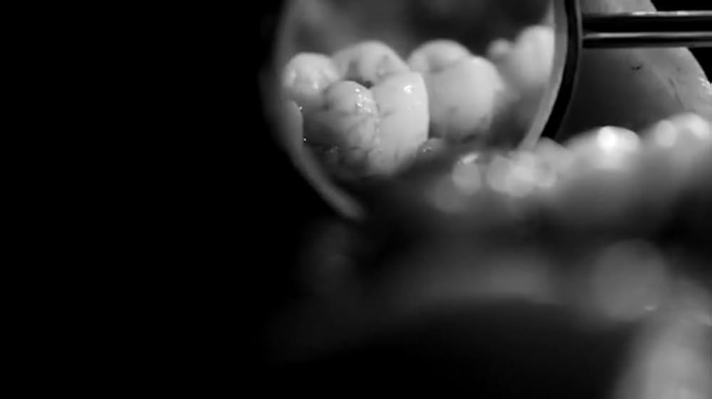 アメリカンギニーピッグ ブラッドショック！！の画像