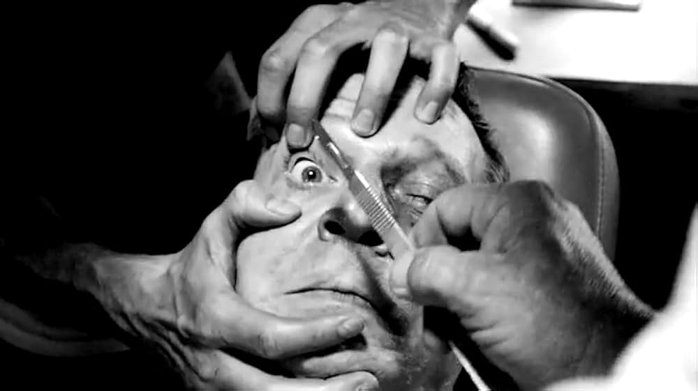 アメリカンギニーピッグ ブラッドショック！！の画像