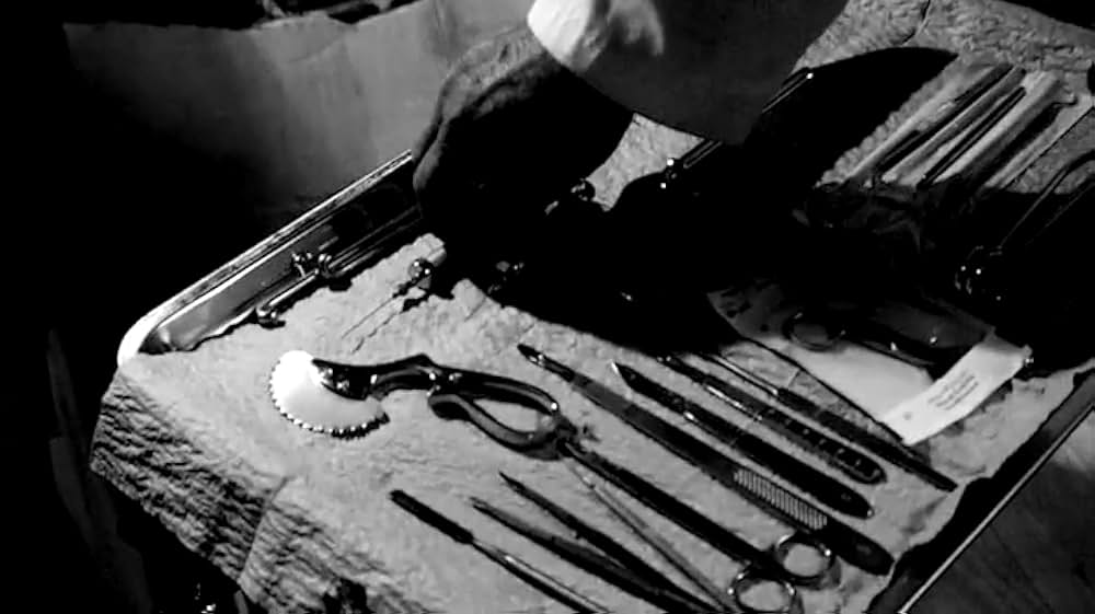 アメリカンギニーピッグ ブラッドショック！！の画像