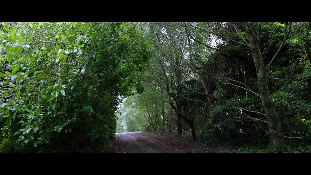 Red Christmas（原題）の画像