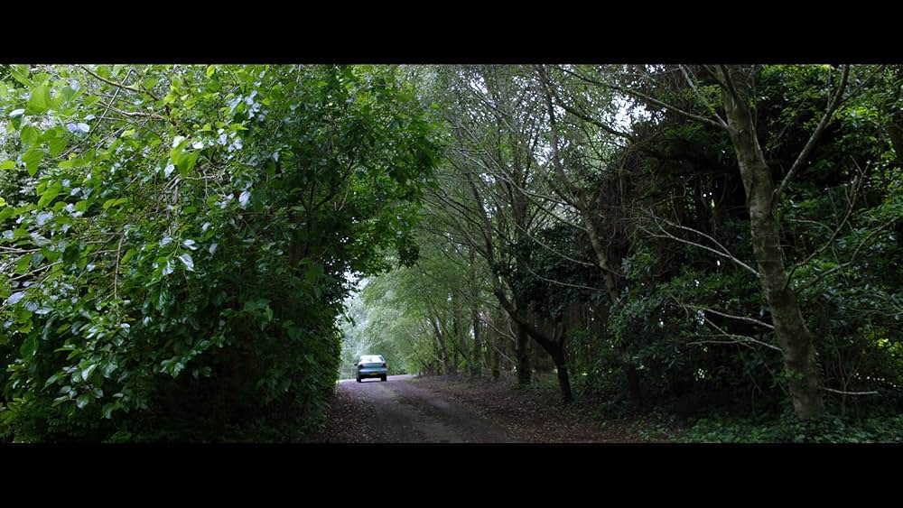 Red Christmas（原題）の画像