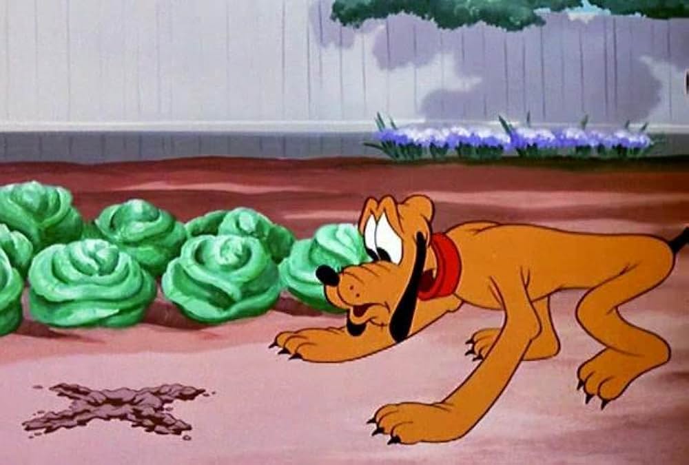 プルートの骨どろぼうの画像