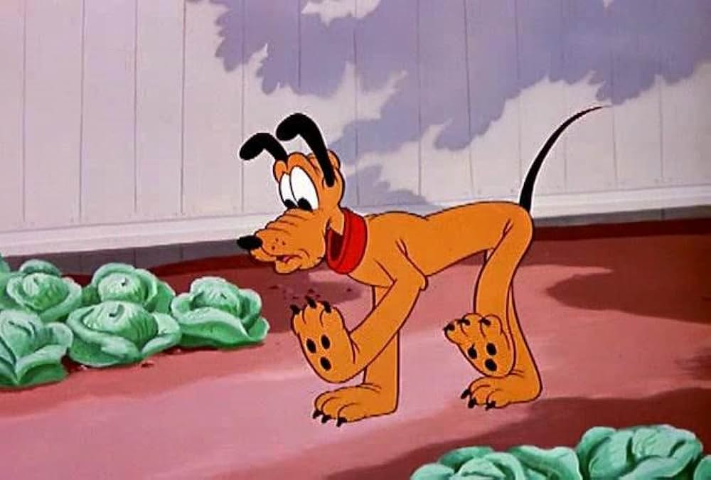 プルートの骨どろぼうの画像