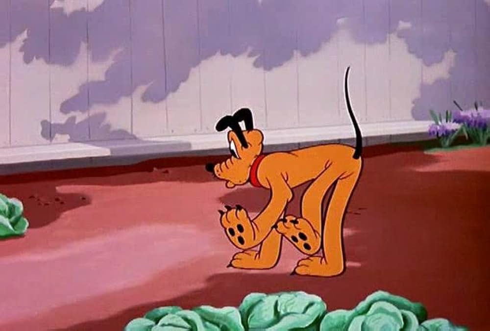 プルートの骨どろぼうの画像