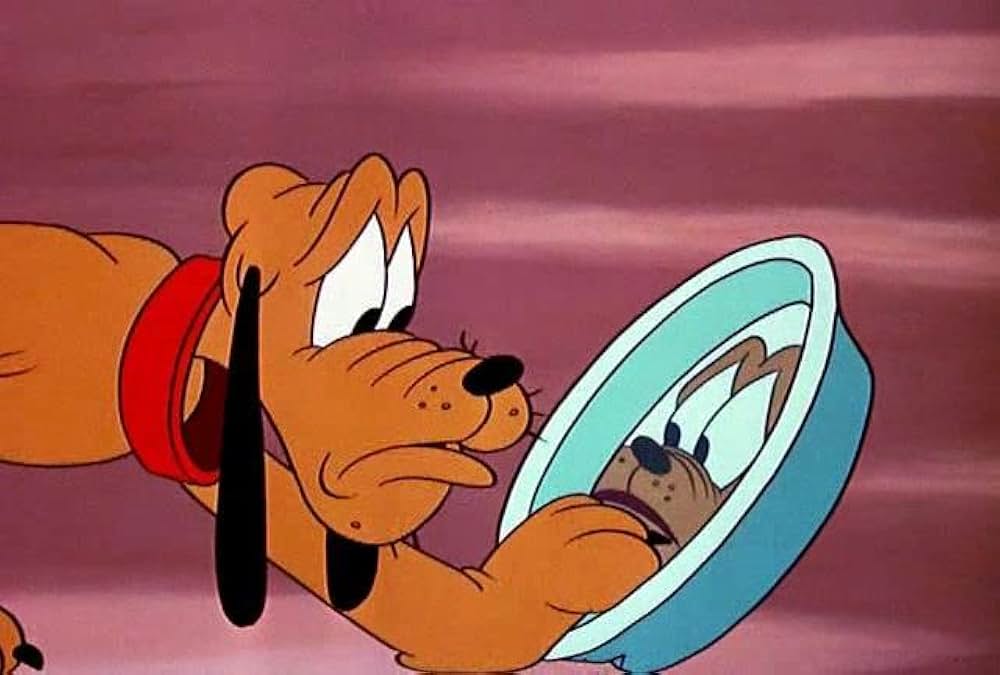 プルートの骨どろぼうの画像