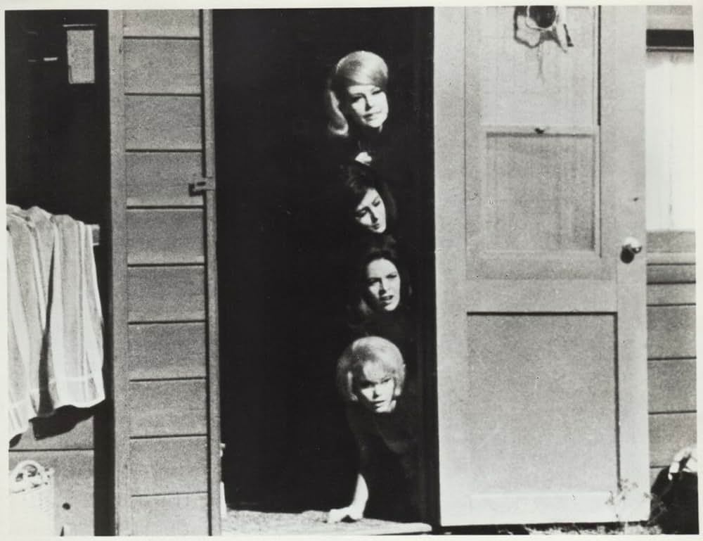 踊る太陽の画像