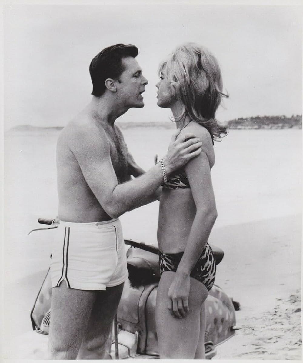 踊る太陽の画像