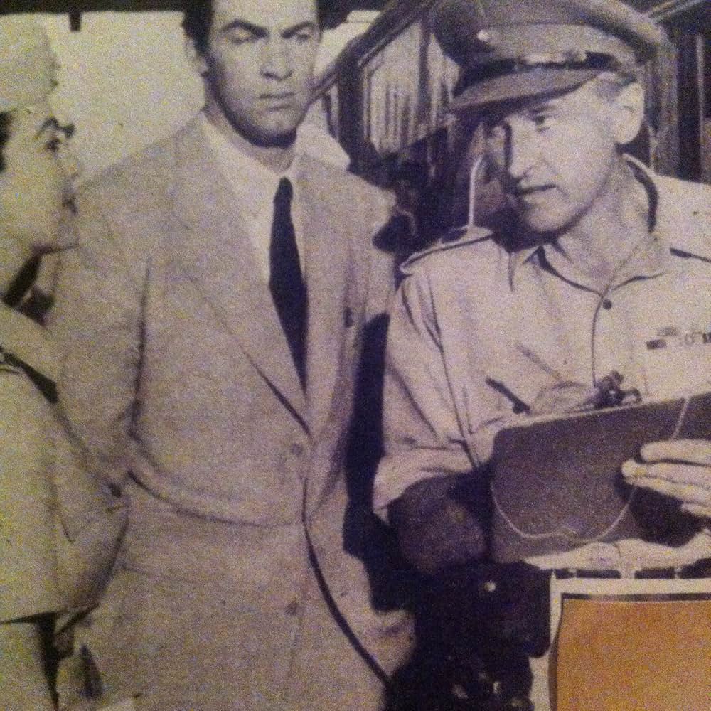 ボワニー分岐点の画像