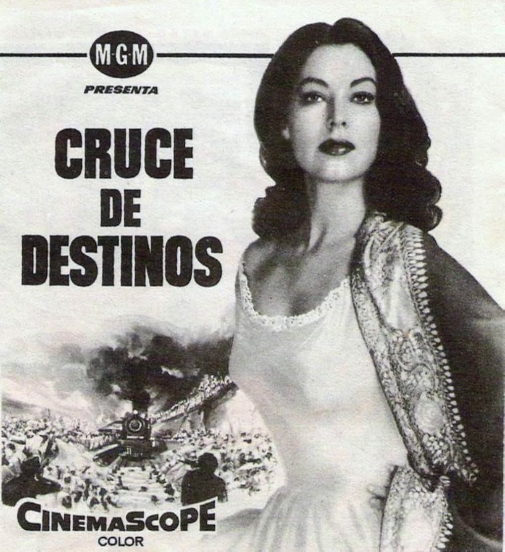 ボワニー分岐点の画像