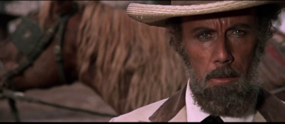 二匹の流れ星の画像